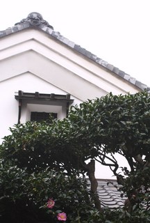 20111109 今年の山茶花は可愛いいピンク.jpg