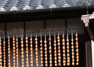 20111126 柿柿柿1.jpg